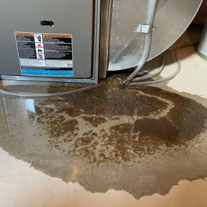 Appliance Leak Cleanup in Lawton, MI